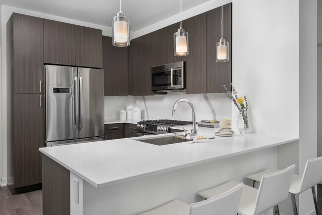 455 N New St, Chicago, IL 60611 - photo 7