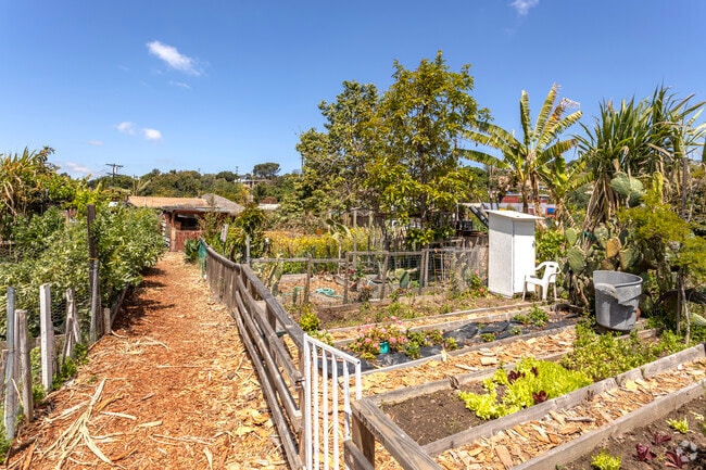 New Roots Community Farm is a great way to learn and care for agriculture in Chollas Creek.