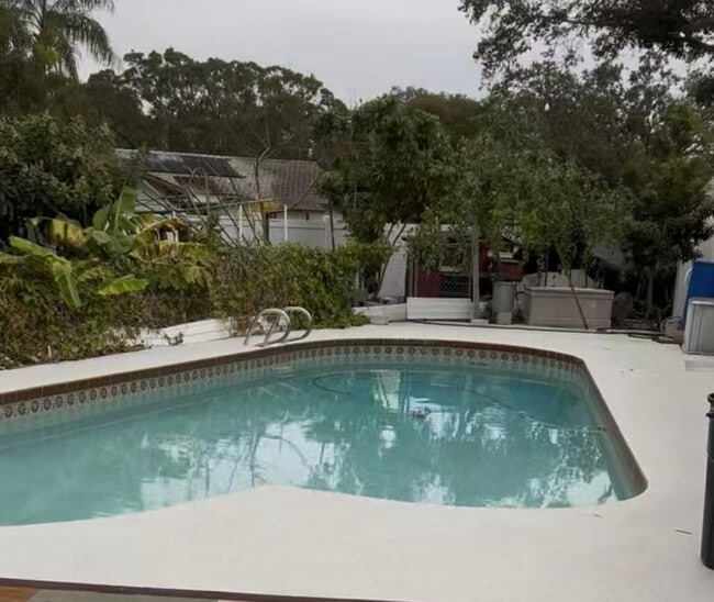 835 Winding Oaks Dr unit Shared yard Apt, Palm Harbor, FL 34683 - photo 6