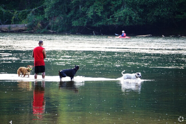 Bring the whole family to enjoy the Chattahoochee River National Recreation Area a favorite of the River Chase community.