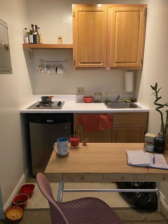 768 Tremont St unit 2, Boston, MA 02118 - photo 4