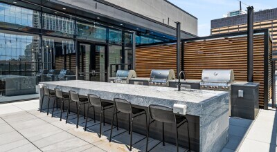 226 E Grand Ave, Chicago, IL 60611 - photo 7