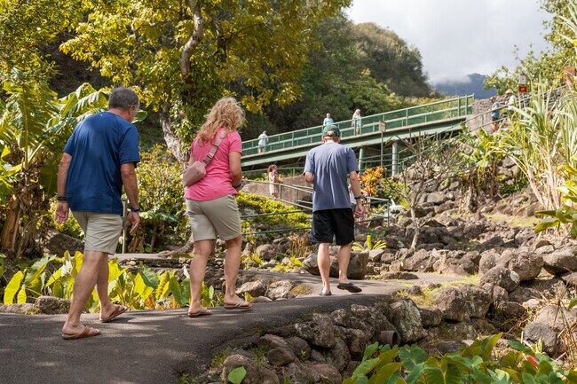 The Iao Valley State Park is a short drive away for stunning hikes in the wilderness of Maui.