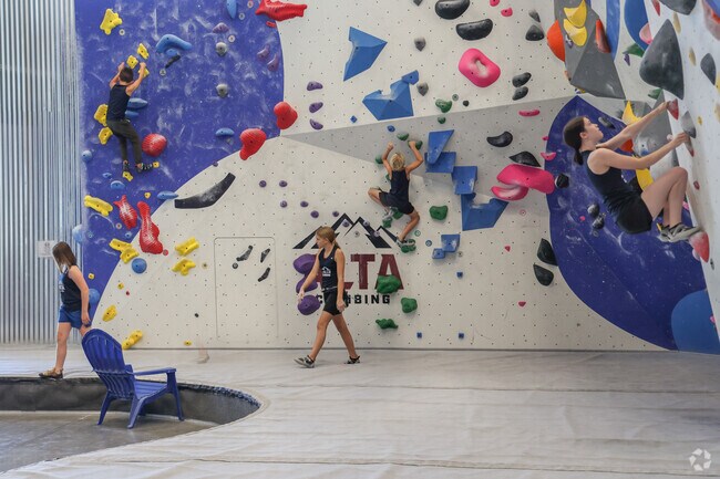 Alta in Gilbert offers climbing for professionals and kids alike.