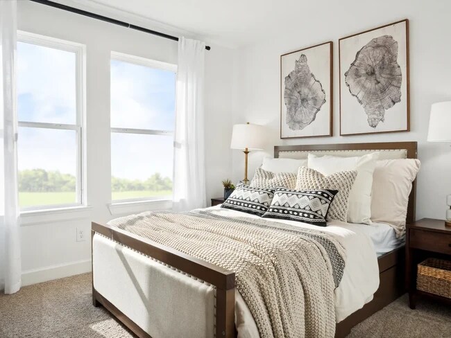 11408 Lucky Falls Dr unit 36450519, Houston, TX 77047 - photo 5