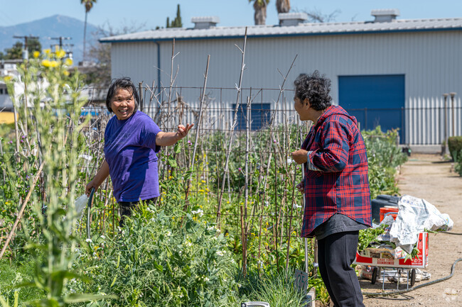 Grow your own vegetables and connect with neighbors at the Alhambra Community Garden in Alhambra Tract.