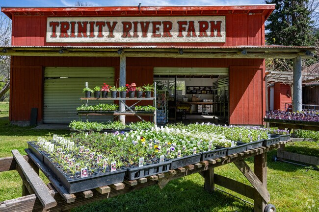 Hoopa gardeners head to the Trinity River Farm in Willow Creek for a great variety of plants.