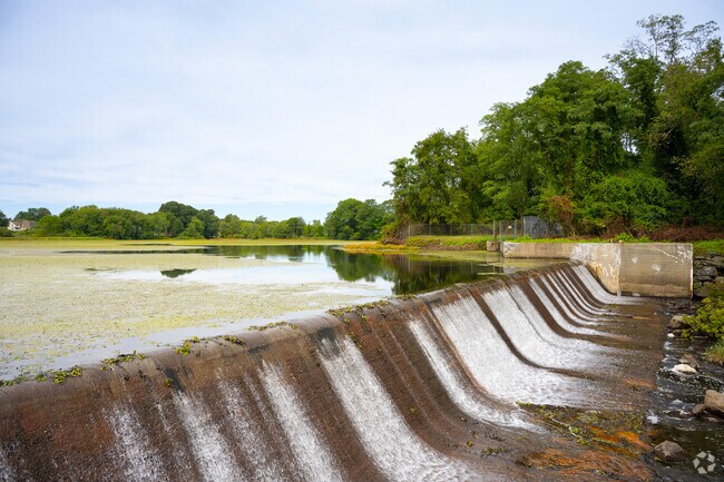 The falls at Shad Factory Pond offer scenic views and peaceful sounds.