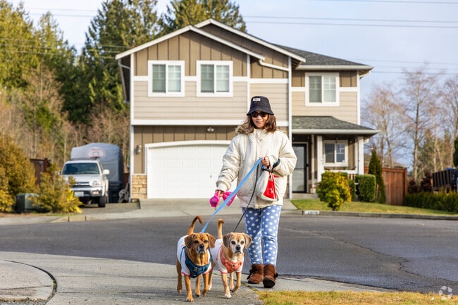 Walking the pups in Sunnyside is an everyday activity.