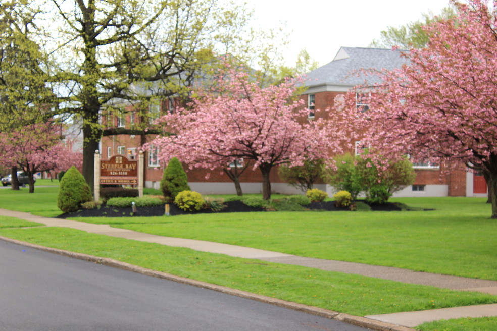 steeple-bay-estates-119-arbour-ln-buffalo-ny-homes