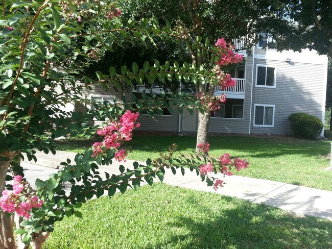 4000 SW 23rd St unit ROOM 4, Gainesville, FL 32608 - photo 7