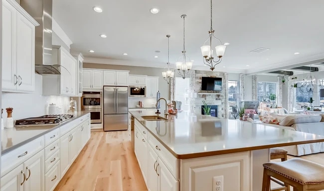 206 Northern Oak St unit 36472277, Middletown, DE 19709 - photo 4