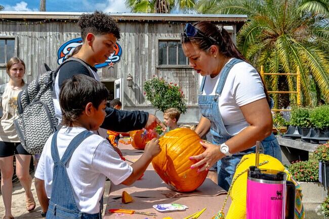 Compete in the pumpkin carving contest at the Fall Festival at The Farm.