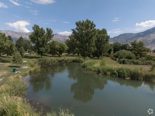 Harrisville Park has a river that runs through its green space.