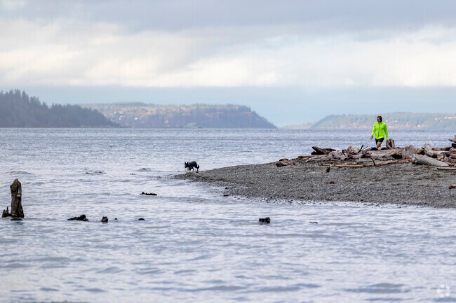 Enjoying a game of fetch at Picnic Point Park.