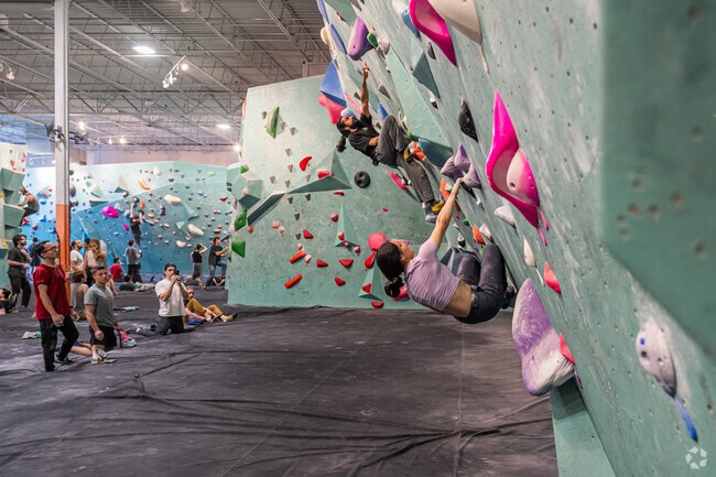 Bouldering Project is a modern indoor climbing gym with classes and community events.