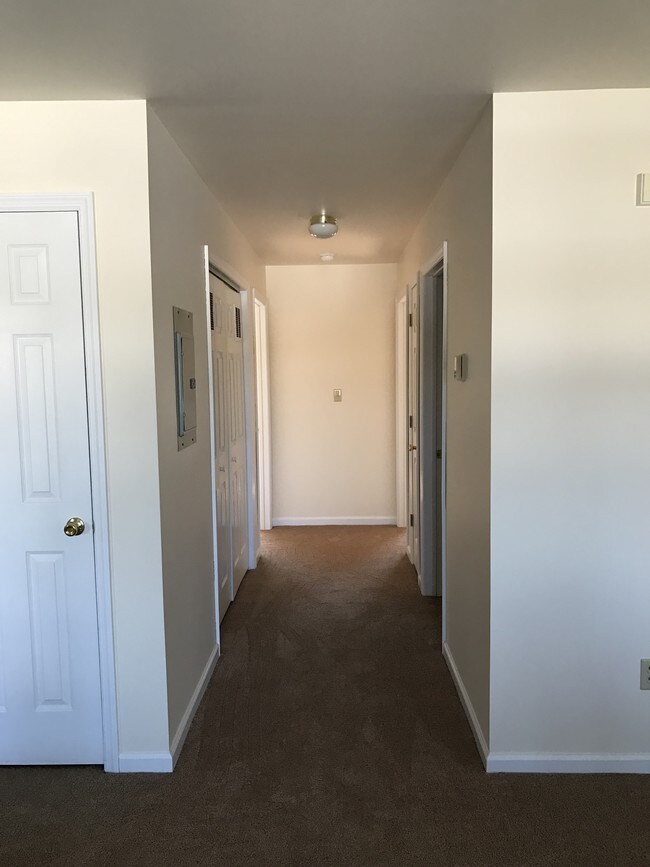 Loosestrife Fields, Montgomery, NY 12549 - photo 7