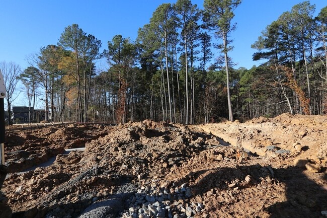 2408 Andrena Way, New Hill, NC 27562 - photo 3