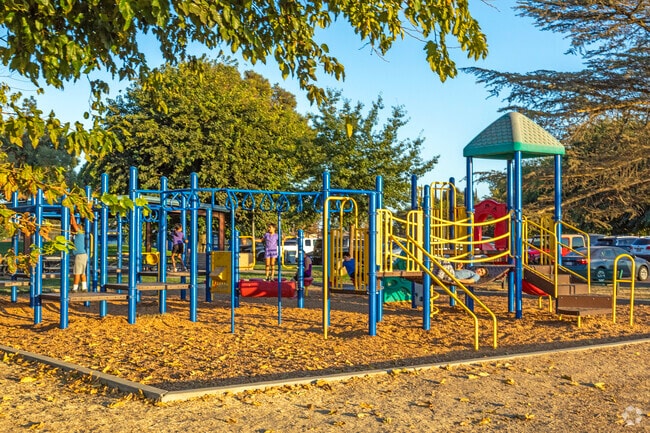 Kids enjoy the playground at Osborn Park in Atwater.
