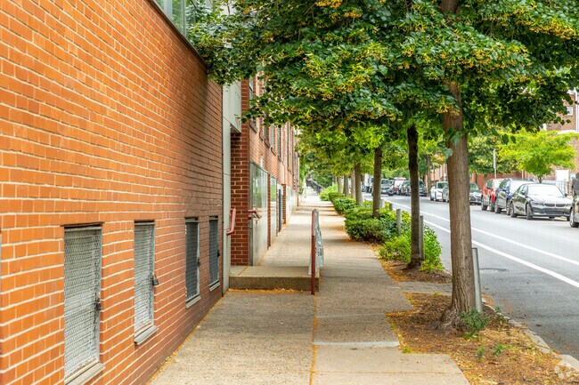 Large tree lined sidewalks make walking to The Philadelphia School a dream.