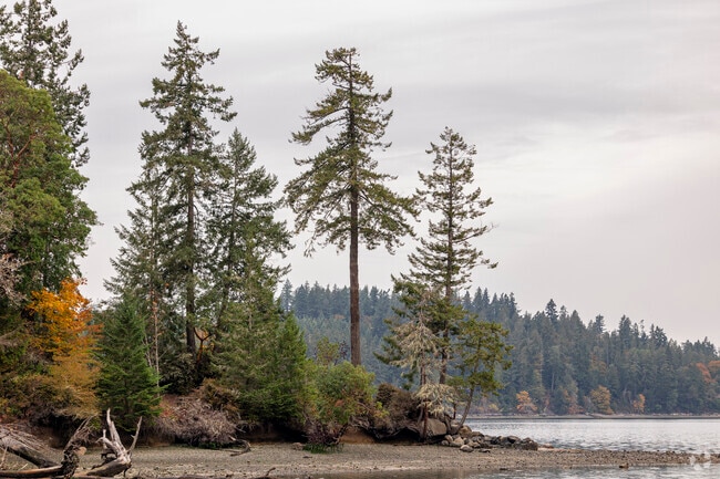 Penrose Park offers some of the best views in the Lakebay area.