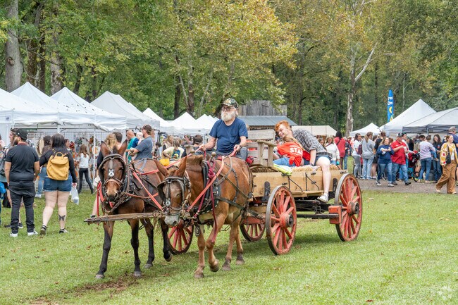 Take a ride at the Homestead Hollow Arts and Crafts Festival.
