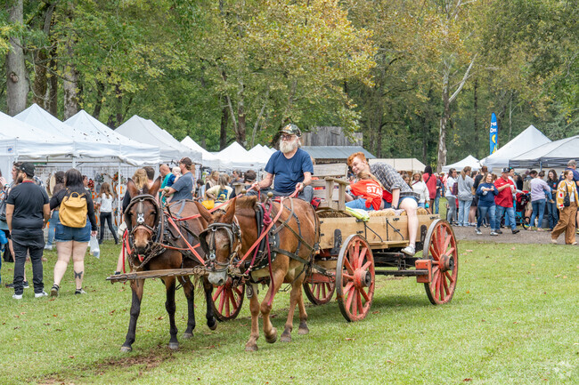 Take a ride at the Homestead Hollow Arts and Crafts Festival.