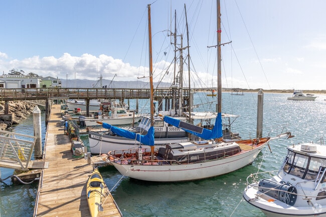 Many fisherman use the harbor in Morro Bay to dock their boats.