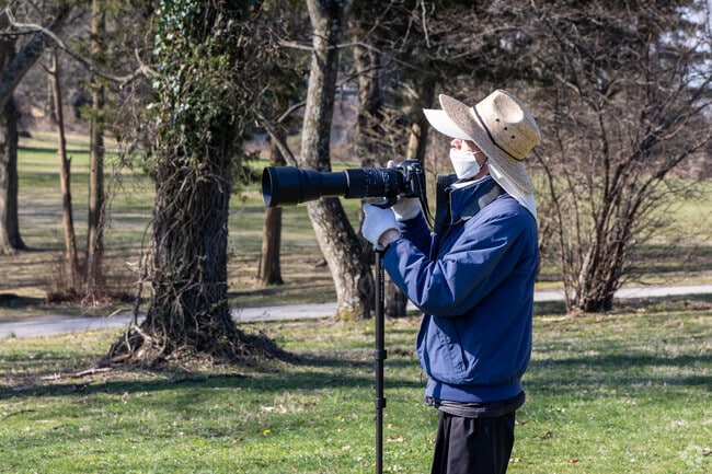 Bring your camera and take pictures of the birds at Curtis Arboretum.