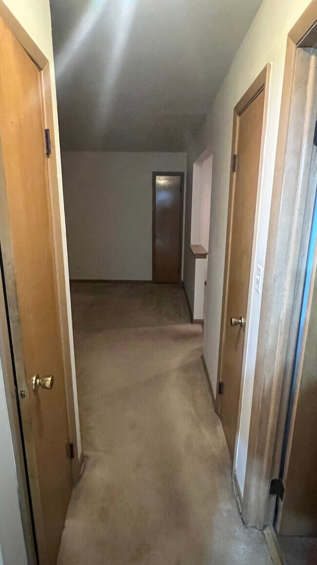 6729 174th Place unit 1 South, Tinley Park, IL 60477 - photo 7