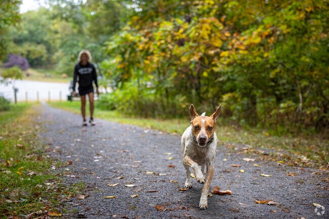 A morning walk with your four-legged friend at Bell's Gap Trail is a superb way to start a day.