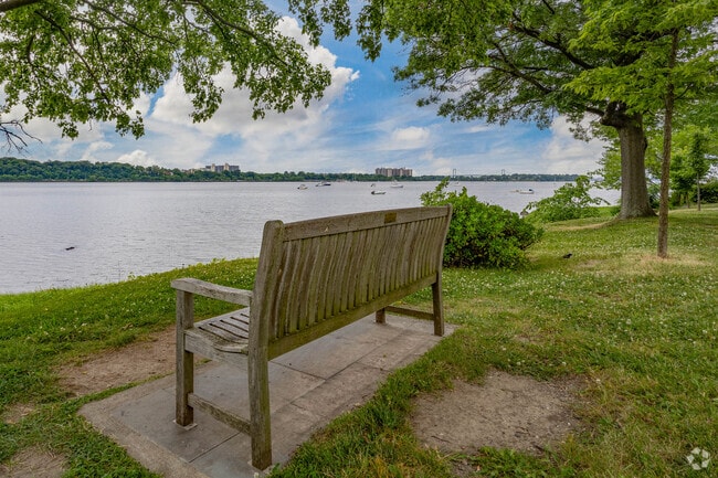 The shoreline in Douglas Manor is owned and maintained by the local home owners association.