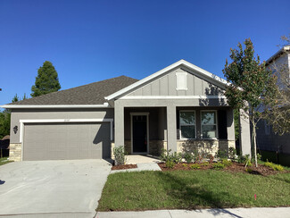 20307 Calla Lily Dr, Land O' Lakes, FL 34638