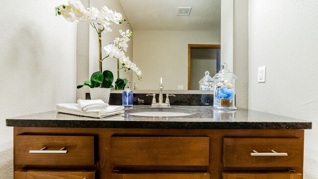 Springwood Apartments, Forest Lake, MN 55025 - photo 6