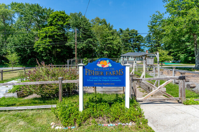Plimptonville's Fisher Farms, situated at Fisher School, serves as a vibrant community garden.