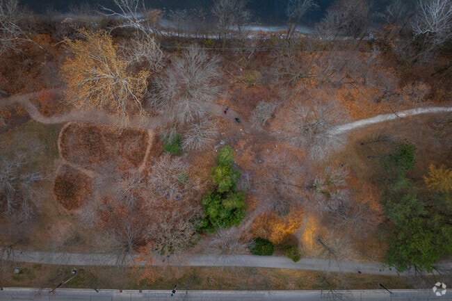 Evanston's McCormick Park features miles of walking paths through mature trees.