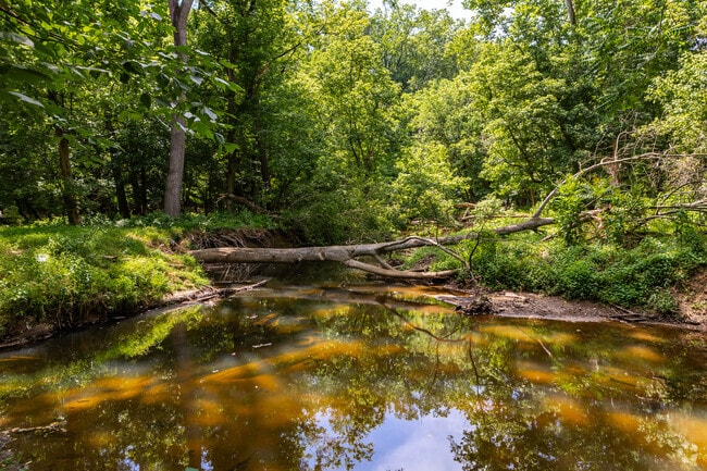 You can even catch some views of the creek along the Rock Creek Trail in Aspen Hill Local Park,