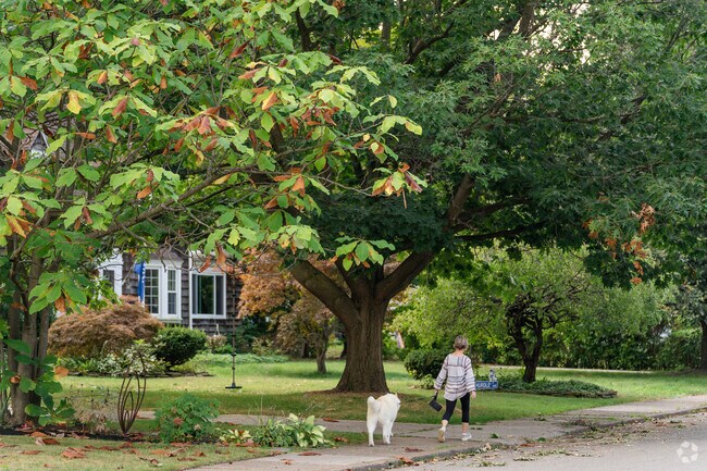 Walking your dog through Kenmore Northeast often feels similar to walking through a park.
