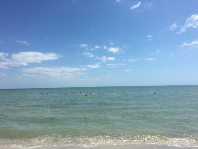 Beautiful beaches within short drive