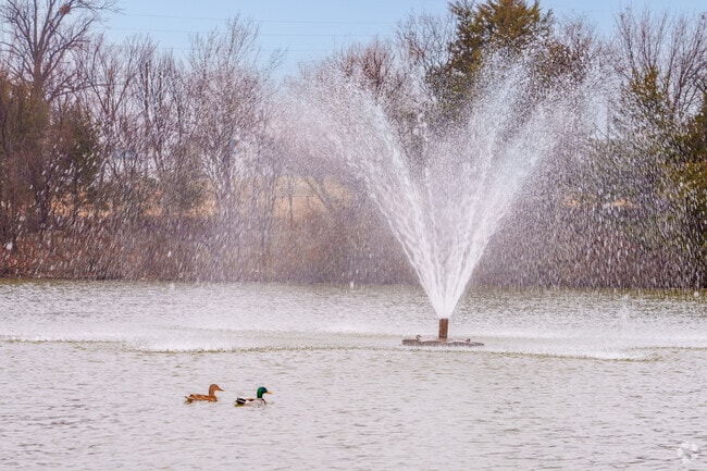 Ducks gather by the fountain at Boomer Lake, bringing life and charm to this peaceful Stillwater spot.
