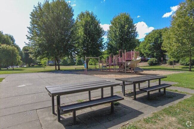Picnic Tables in the sun look toward the play structure in Ellsworth Springs Park.