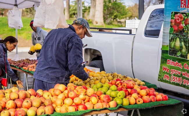 The City of Mountain House residents get there fresh produce at the Farmers Market.