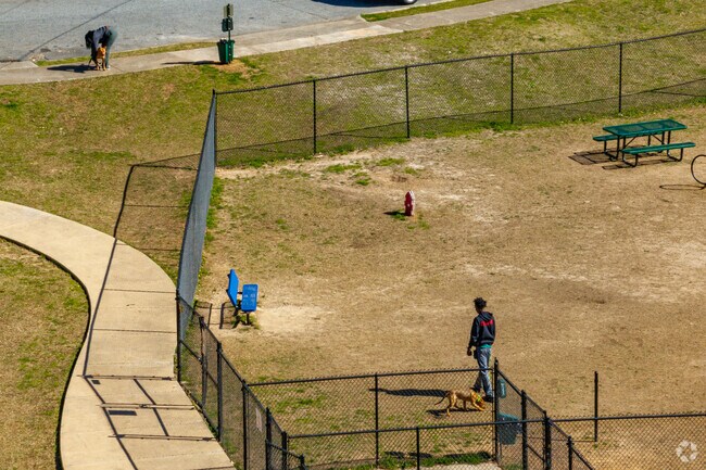 The dog park at Sumner Park is available for the pups to play at.