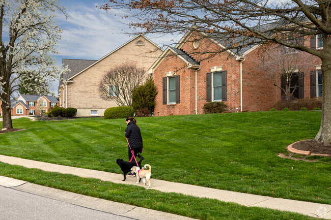 Subdivisions of single-family homes can be found along Edgewood's unique concrete streets.
