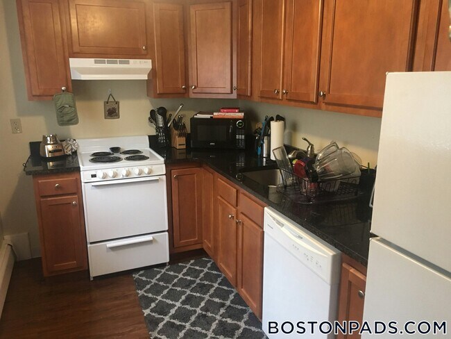 61 Selkirk Rd unit 1, Brighton, MA 02135 - photo 4