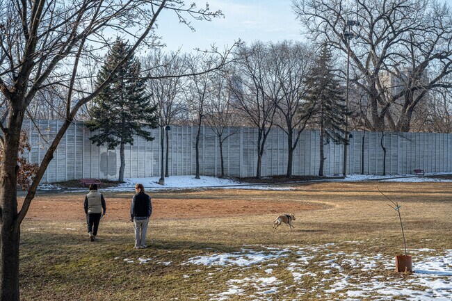 Luxton Park is a great place for a game of fetch in all seasons.