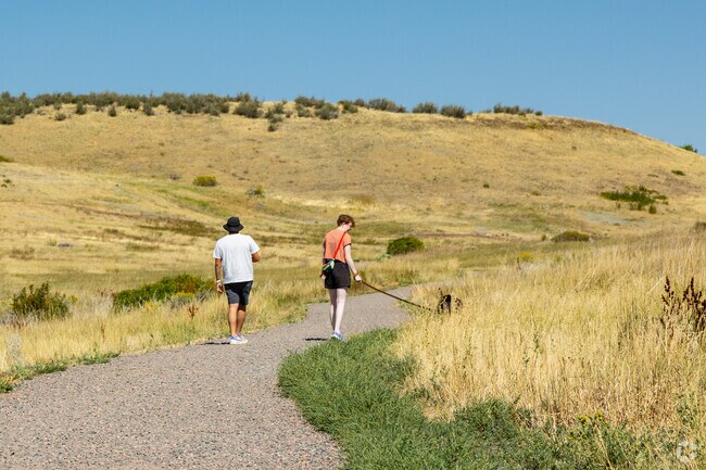 Take your dog for a long walk on the trails at South Table Mountain in Golden.