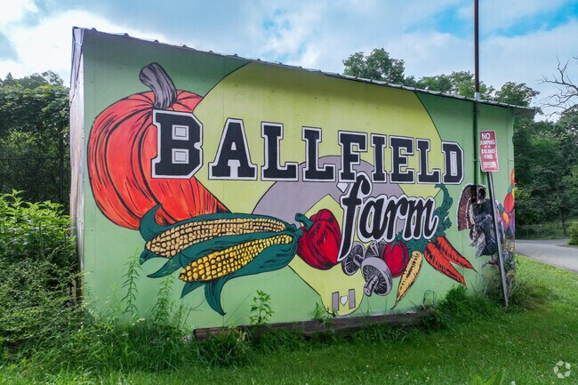 Ballfield Farm is a great spot for the community to come together in Perry South.