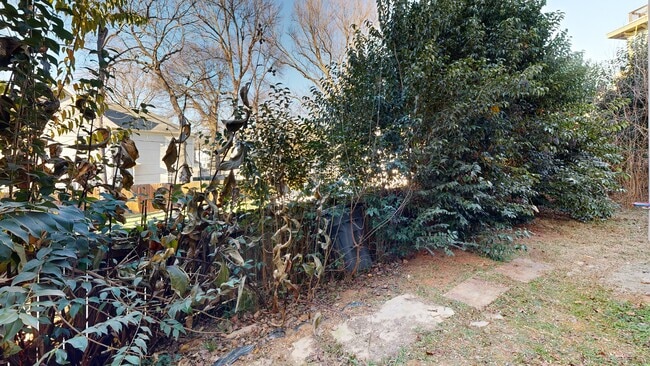 215 Walnut Ave unit A, Charlotte, NC 28208 - photo 2