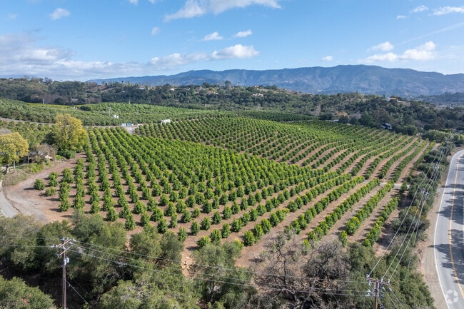 A breathtaking view of Meiners Oaks reveals a charming community nestled among the rolling hills and lush greenery near Ojai, California.